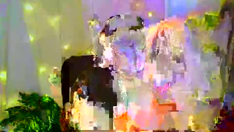 Liberta online show from November 30, 2025, 3:21 am