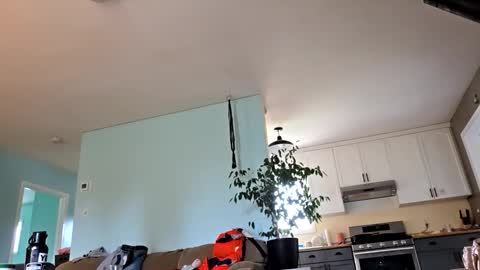 Snapshot of lickurpussygood40 chatting on October 24, 2025, 5:31 pm lickurpussygood40 online show from October 24, 2025, 5:31 pm