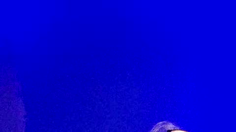 LickYourYoni online show from February 23, 2025, 3:08 pm