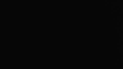 Daniel online show from October 13, 2025, 1:33 pm