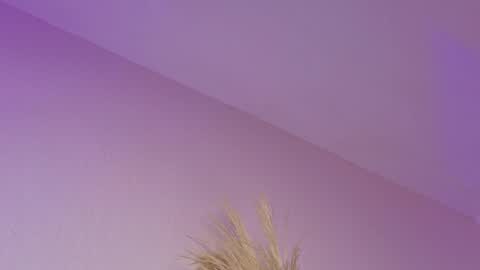 Snapshot of liiamluna chatting on April 21, 2026, 11:05 am Liiam Luna online show from April 21, 2026, 11:05 am