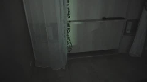         online show from December 16, 2025, 11:37 am