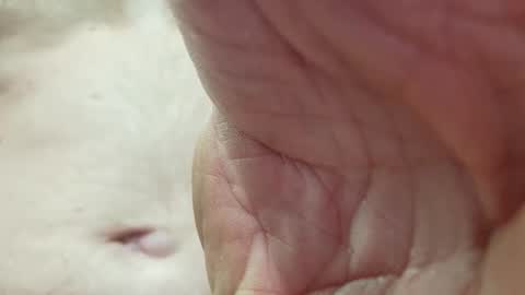 Snapshot of like_fun_ chatting on April 8, 2026, 5:51 am like_fun_ online show from April 8, 2026, 5:51 am