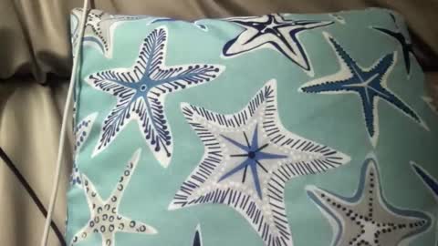 likefhot online show from November 17, 2025, 5:02 am