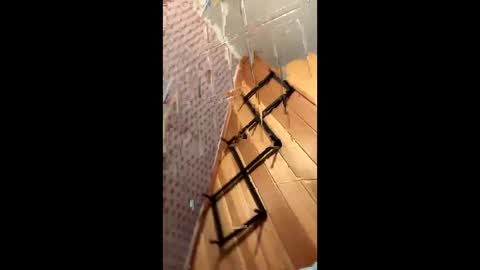 likewhatchasee online show from June 8, 2026, 4:46 am