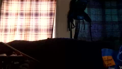 lildurke65 online show from February 10, 2026, 9:19 pm