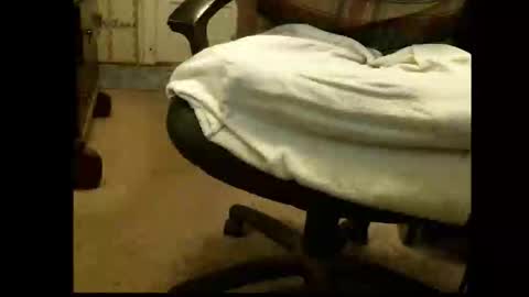 Sasquatch online show from March 1, 2026, 5:37 pm