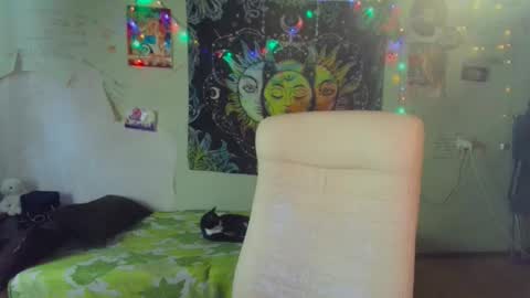 Snapshot of lileyfoxxx chatting on March 19, 2026, 2:59 am Lil online show from March 19, 2026, 2:59 am
