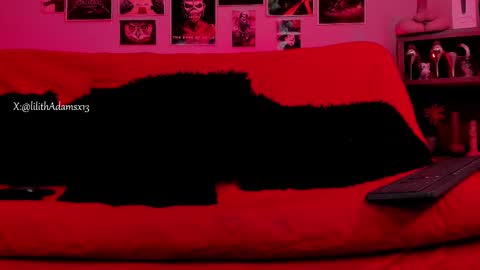 MISTRESS LILITH online show from October 22, 2025, 2:06 pm