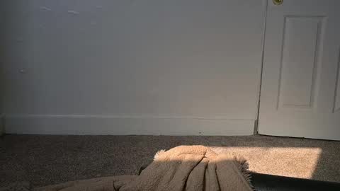 L online show from March 4, 2025, 4:30 pm