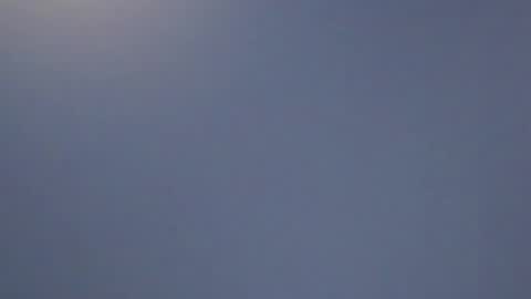 lillie_berry online show from April 11, 2026, 8:18 am