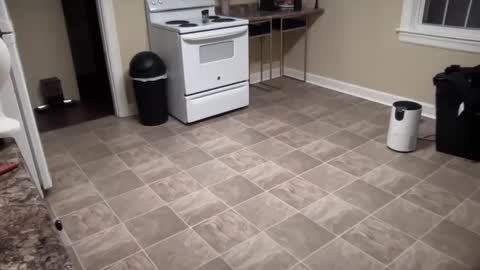 Snapshot of lilly_adams88 chatting on February 21, 2025, 1:00 am lilly_adams88 online show from February 21, 2025, 1:00 am