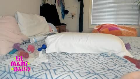 Daisy Bby online show from December 17, 2025, 12:16 am