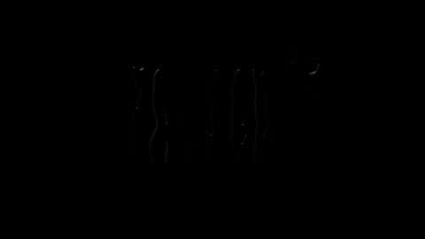 Snapshot of lilpresident chatting on January 23, 2025, 7:51 pm lilpresident online show from January 23, 2025, 7:51 pm