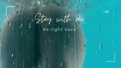 Lily online show from December 19, 2025, 7:04 am