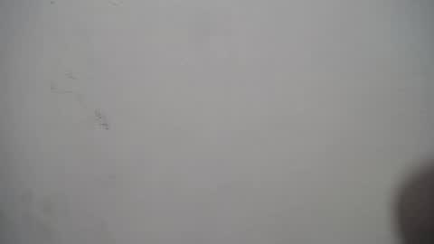 lina_clark_ online show from October 15, 2025, 1:22 pm