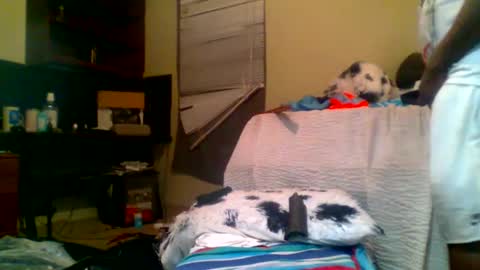 Richie Rich online show from January 5, 2025, 8:22 am