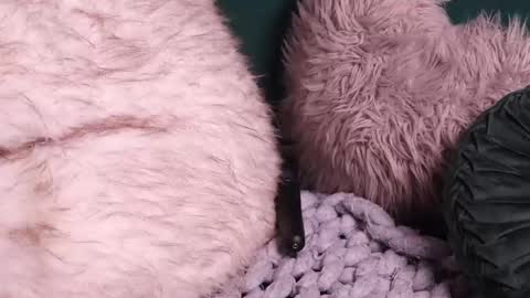 Lire online show from October 2, 2025, 4:52 am