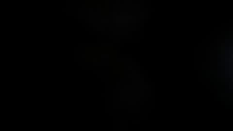 Snapshot of lisa_gerrard_ chatting on November 23, 2025, 11:54 am Lisa online show from November 23, 2025, 11:54 am