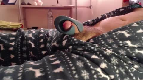 litlediky online show from December 21, 2024, 6:41 am