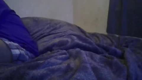 Snapshot of litnacho chatting on January 6, 2025, 10:13 am Nacho602 online show from January 6, 2025, 10:13 am