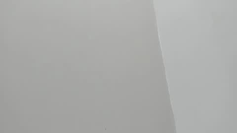 im olivia IG littleolivia01 online show from January 29, 2025, 12:45 pm