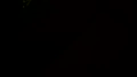 Little Tj online show from January 17, 2026, 6:29 am