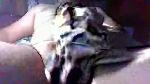 Snapshot of litwinpaweel chatting on October 28, 2025, 8:22 pm litwinpaweel online show from October 28, 2025, 8:22 pm