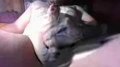 Snapshot of litwinpaweel chatting on December 2, 2025, 8:26 pm litwinpaweel online show from December 2, 2025, 8:26 pm