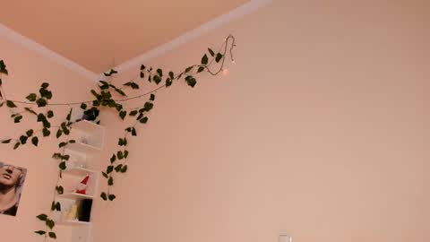 Lixie online show from January 20, 2025, 12:04 am