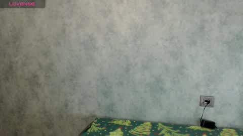 LizzieLight online show from December 27, 2024, 6:53 pm