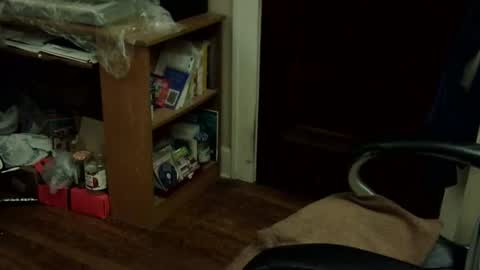 loades182025 online show from November 12, 2025, 3:40 am