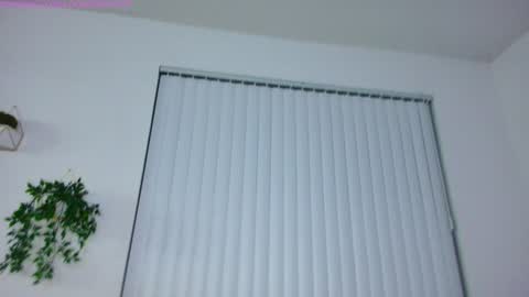 lolo 3 online show from February 8, 2025, 3:41 am