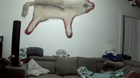 Snapshot of lolalixx6969 chatting on October 9, 2025, 5:49 am Lola Lixx online show from October 9, 2025, 5:49 am