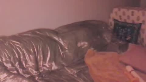 Lola Peach xo online show from March 20, 2026, 12:26 am