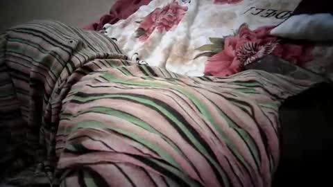 Snapshot of lolly_sexxy chatting on February 6, 2026, 10:07 am lolly_sexxy online show from February 6, 2026, 10:07 am