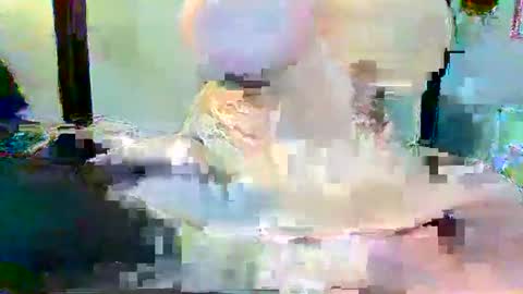 Long Dong91 online show from January 3, 2025, 5:10 pm