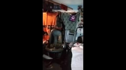 Mr. FogoDeChao online show from February 3, 2026, 6:46 pm