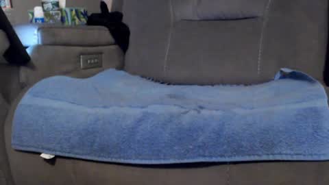 looking469 online show from April 23, 2026, 4:46 am