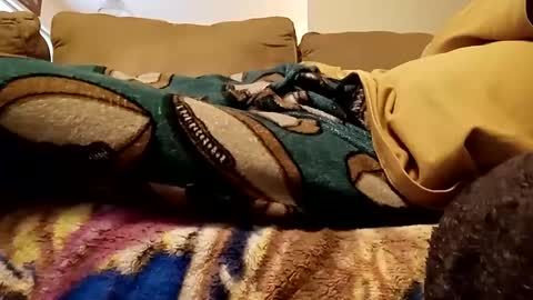 looking4bush online show from December 15, 2024, 8:04 pm