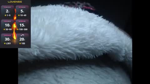 lorenitha online show from October 27, 2025, 2:59 am