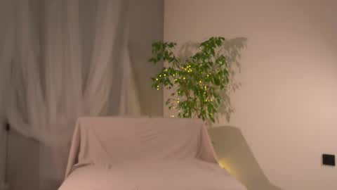 Lorrie online show from November 23, 2025, 7:41 am