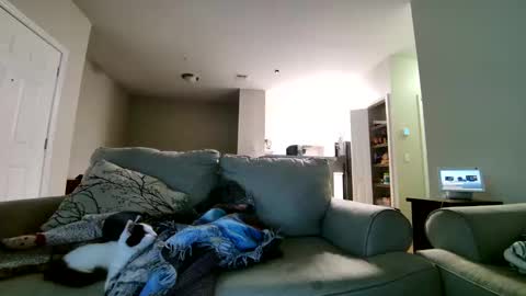 Snapshot of losrompecamera chatting on November 17, 2025, 6:30 am LosRompeCamera online show from November 17, 2025, 6:30 am