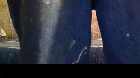 love69bush online show from February 8, 2026, 4:16 am