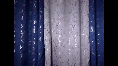 Riva online show from November 30, 2025, 12:20 pm