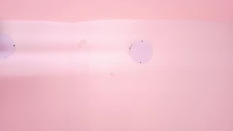 L O V E  online show from March 12, 2026, 11:38 am