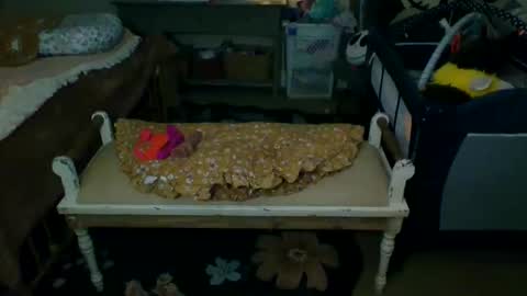 lovetubes101 online show from September 19, 2025, 1:18 am