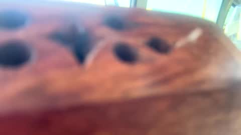 StacyMaeWish online show from March 12, 2025, 10:17 pm