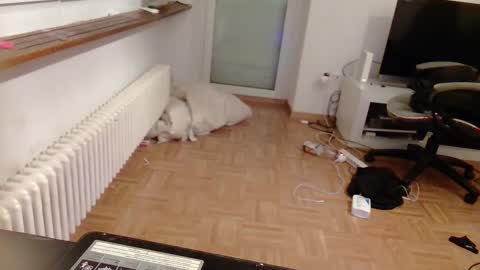 Snapshot of lu25humiliation chatting on January 10, 2025, 4:51 pm lu25humiliation online show from January 10, 2025, 4:51 pm