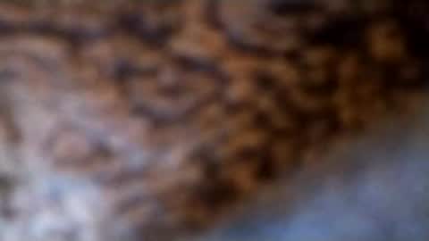 Snapshot of lubestroker4us chatting on February 14, 2026, 5:32 pm lubestroker4us online show from February 14, 2026, 5:32 pm